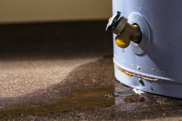 Best 24-hour water damage restoration  in Frederic, WI