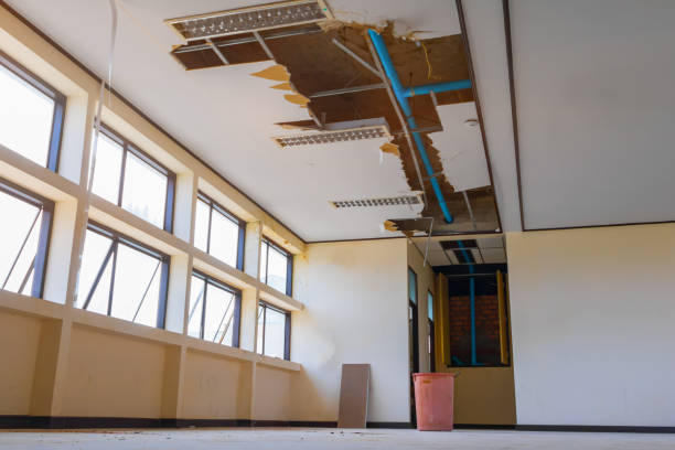 Best Ceiling water damage repair  in Frederic, WI