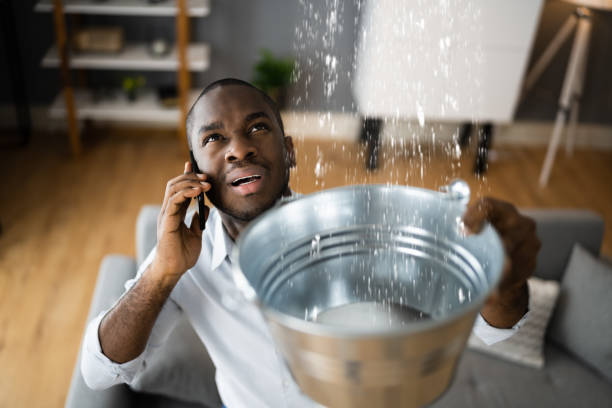Best Flood damage cleanup  in Frederic, WI