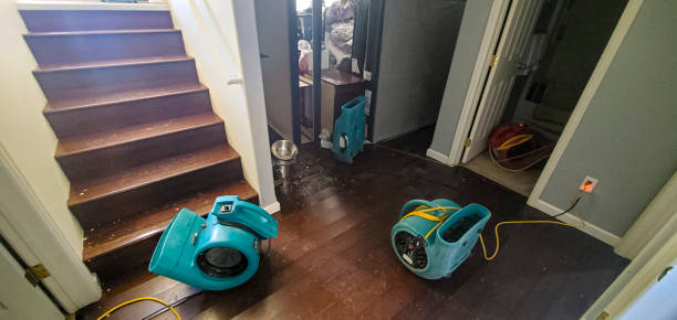 Best Local water damage restoration  in Frederic, WI