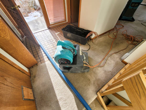 Best Water damage restoration cost  in Frederic, WI