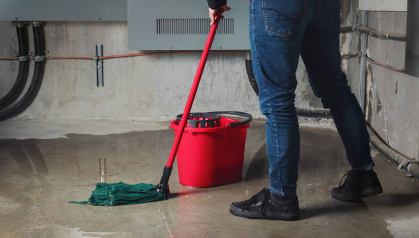 Best Water damage restoration near me  in Frederic, WI