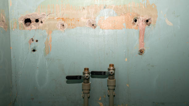Best Water damage contractors near me  in Frederic, WI