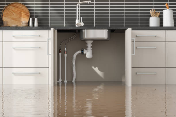 Best Carpet water damage restoration  in Frederic, WI