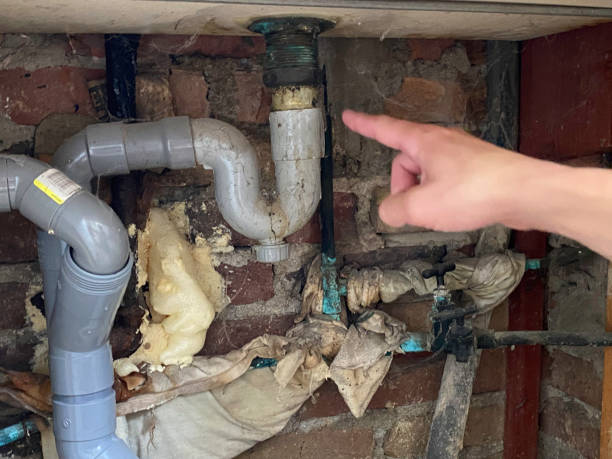 Best Flood restoration services  in Frederic, WI