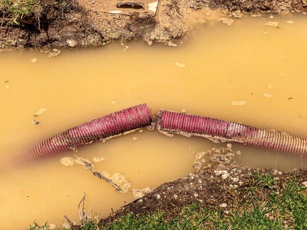 Best Residential water damage restoration  in Frederic, WI